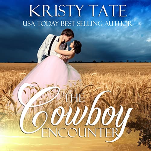 Cover of The Cowboy Encounter