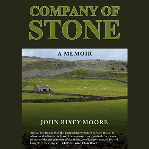 Cover of Company of Stone