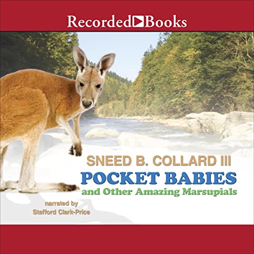 Cover of Pocket Babies and Other Amazing Marsupials