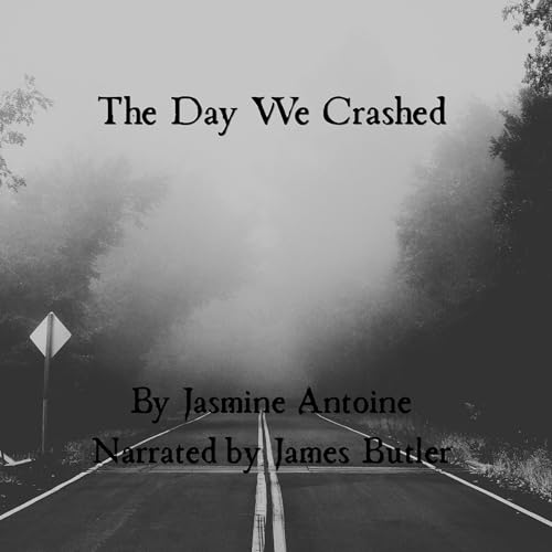 Cover of The Day We Crashed