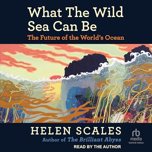 Cover of What the Wild Sea Can Be