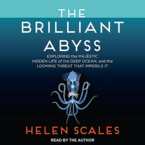 Cover of The Brilliant Abyss