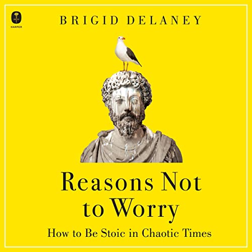 Cover of Reasons Not to Worry