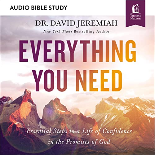 Cover of Everything You Need: Audio Bible Studies