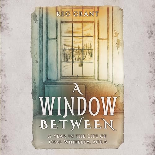Cover of A Window Between