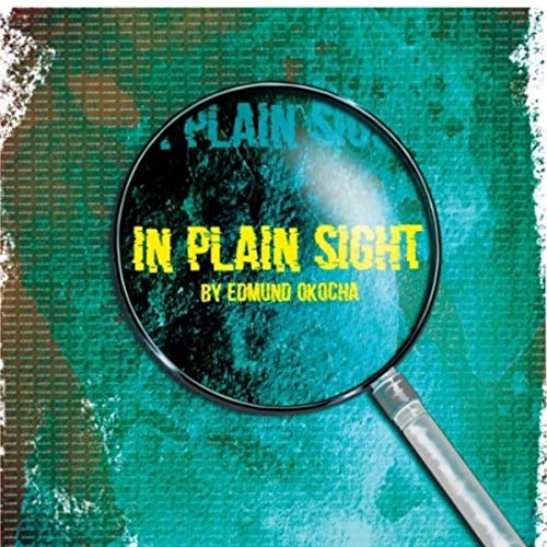 Cover of In Plain Sight