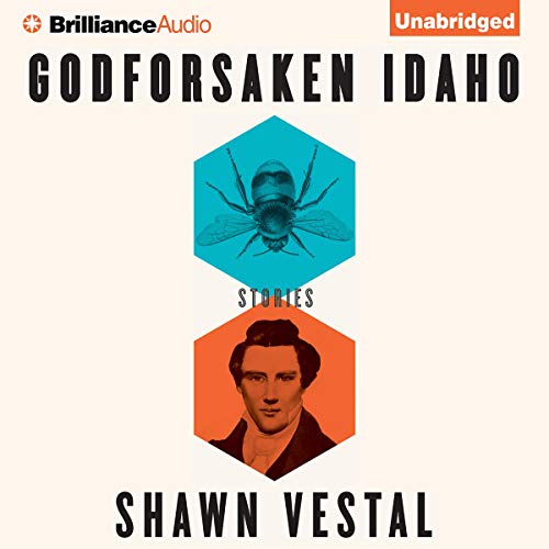 Cover of Godforsaken Idaho