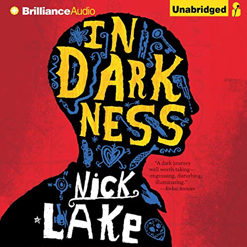 Cover of In Darkness