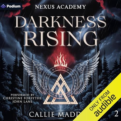 Cover of Darkness Rising
