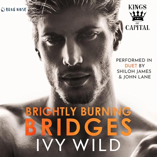 Cover of Brightly Burning Bridges