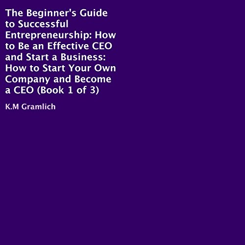 Cover of The Beginner's Guide to Successful Entrepreneurship