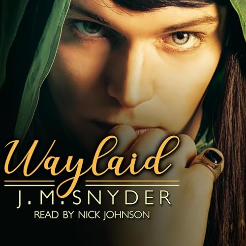 Cover of Waylaid