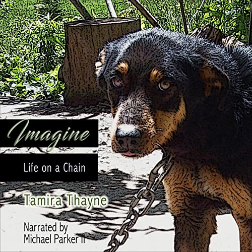Cover of Imagine