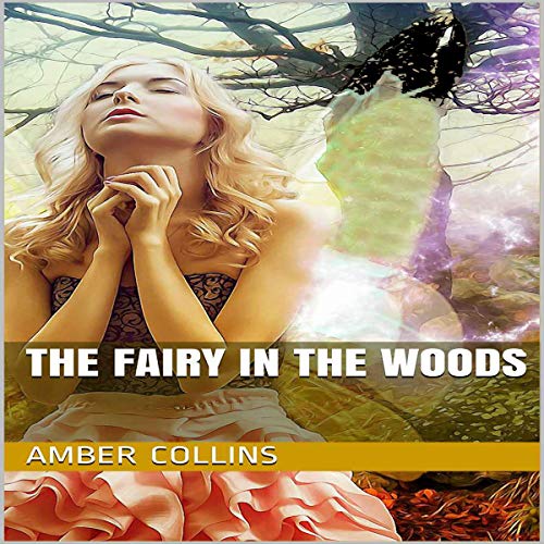 Cover of The Fairy in the Woods