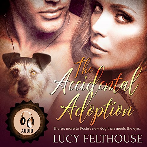 Cover of The Accidental Adoption