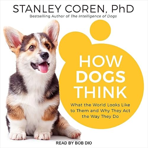 Cover of How Dogs Think