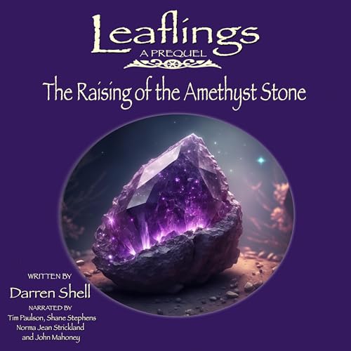 Cover of The Raising of the Amethyst Stone