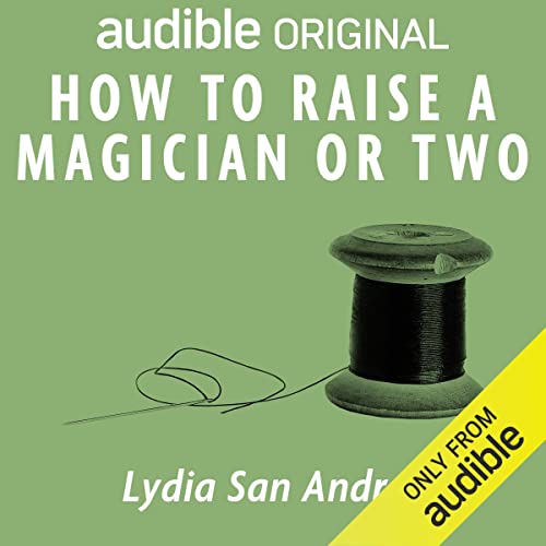 Cover of How to Raise a Magician…or Two