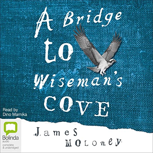Cover of A Bridge to Wiseman's Cove