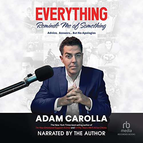 Cover of Everything Reminds Me of Something