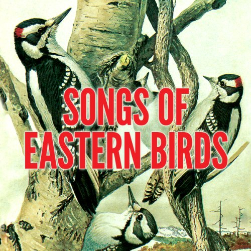 Cover of Songs of Eastern Birds