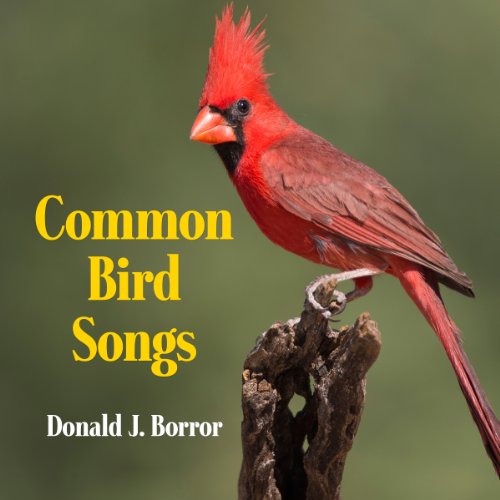 Cover of Common Bird Songs