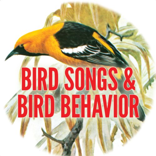 Cover of Bird Song and Behavior
