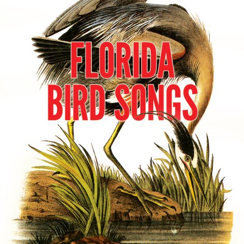 Cover of Florida Bird Songs