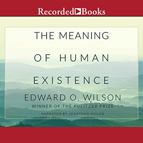 Cover of The Meaning of Human Existence