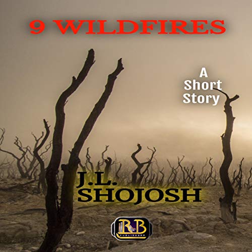 Cover of 9 Wildfires