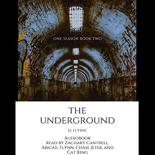 Cover of The Underground