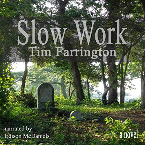 Cover of Slow Work