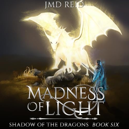 Cover of Madness of Light
