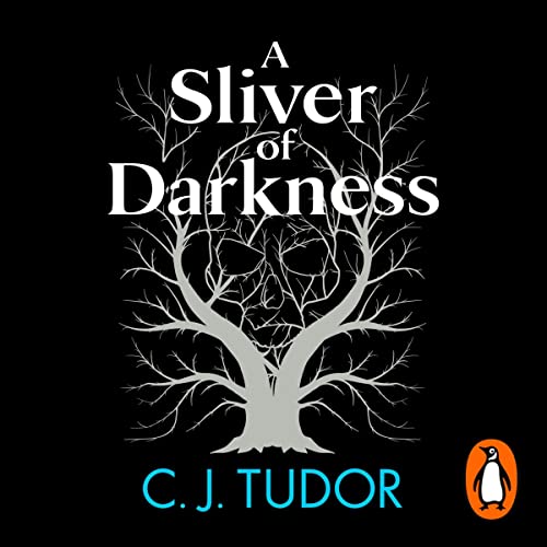 Cover of A Sliver of Darkness