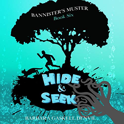 Cover of Hide & Seek