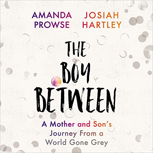 Cover of The Boy Between