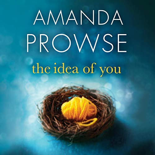 Cover of The Idea of You