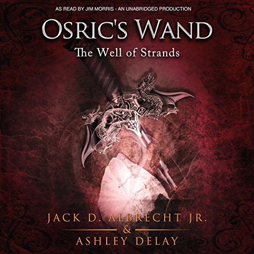 Cover of The Well of Strands