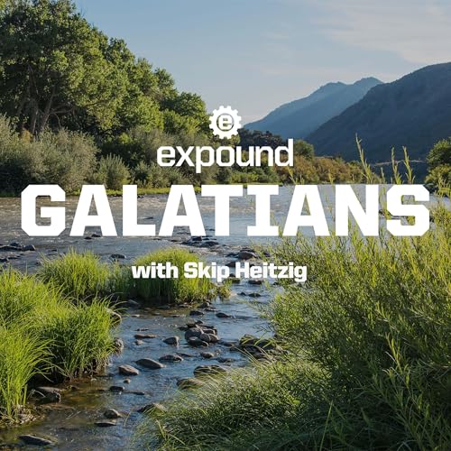 Cover of 48 Galatians: 2024