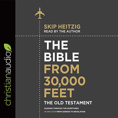 Cover of The Bible from 30,000 Feet: The Old Testament