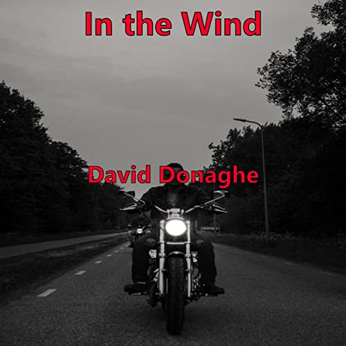 Cover of In the Wind