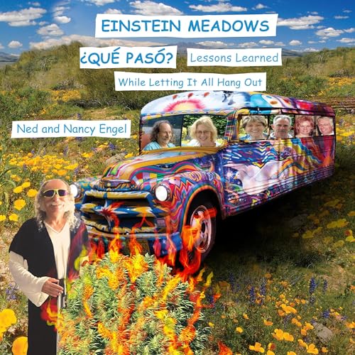 Cover of Einstein Meadows ¿Qué Paso?