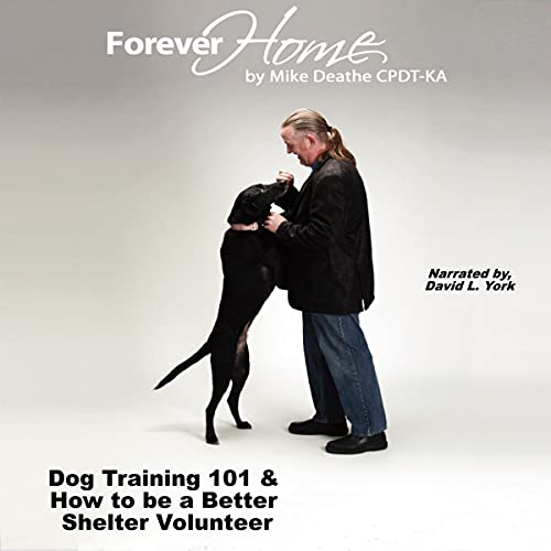 Cover of Forever Home...