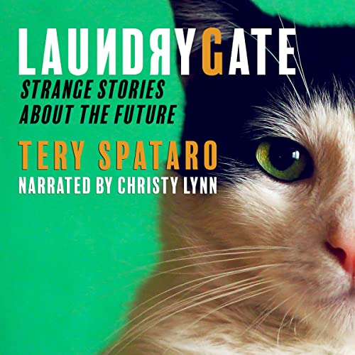 Cover of Laundrygate