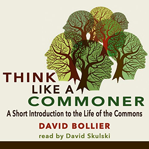 Cover of Think like a Commoner