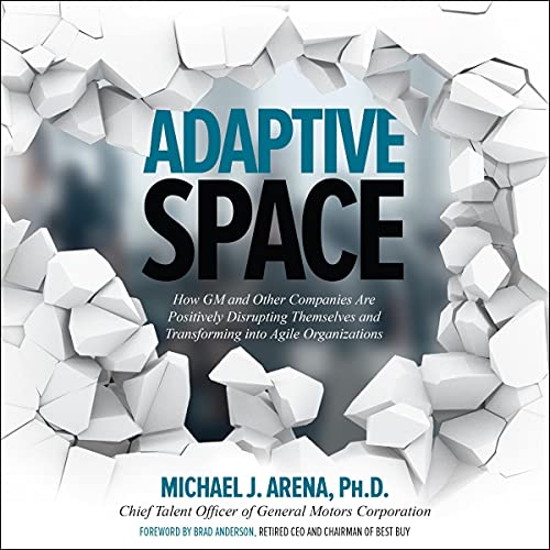 Cover of Adaptive Space
