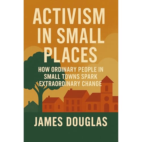 Cover of Activism in Small Places