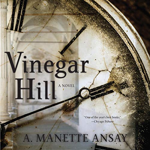 Cover of Vinegar Hill