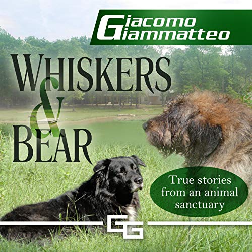 Cover of Whiskers and Bear