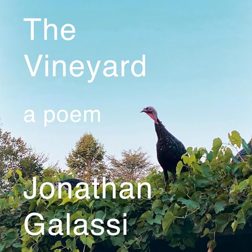 Cover of The Vineyard
